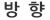 방향